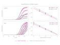 PB20.66-03 Clara® Probe Purple Mix Hi-ROX ( 600 x 20 ul rxns )